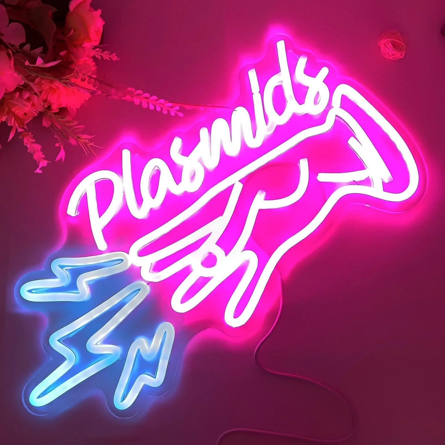 Plasmid LED Neon Sign Anime Bedroom Game Room Internet Cafe Game Room Man Cave Bar Playground Kids Girls Room Wall Sign Decor