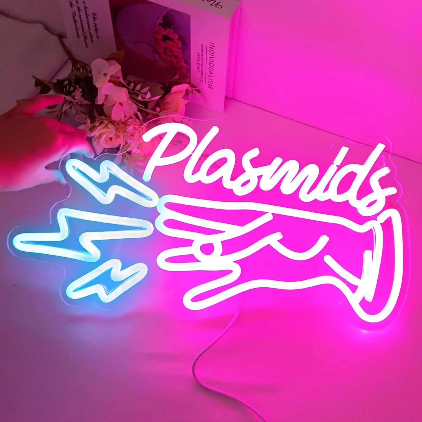 Plasmid LED Neon Sign Anime Bedroom Game Room Internet Cafe Game Room Man Cave Bar Playground Kids Girls Room Wall Sign Decor