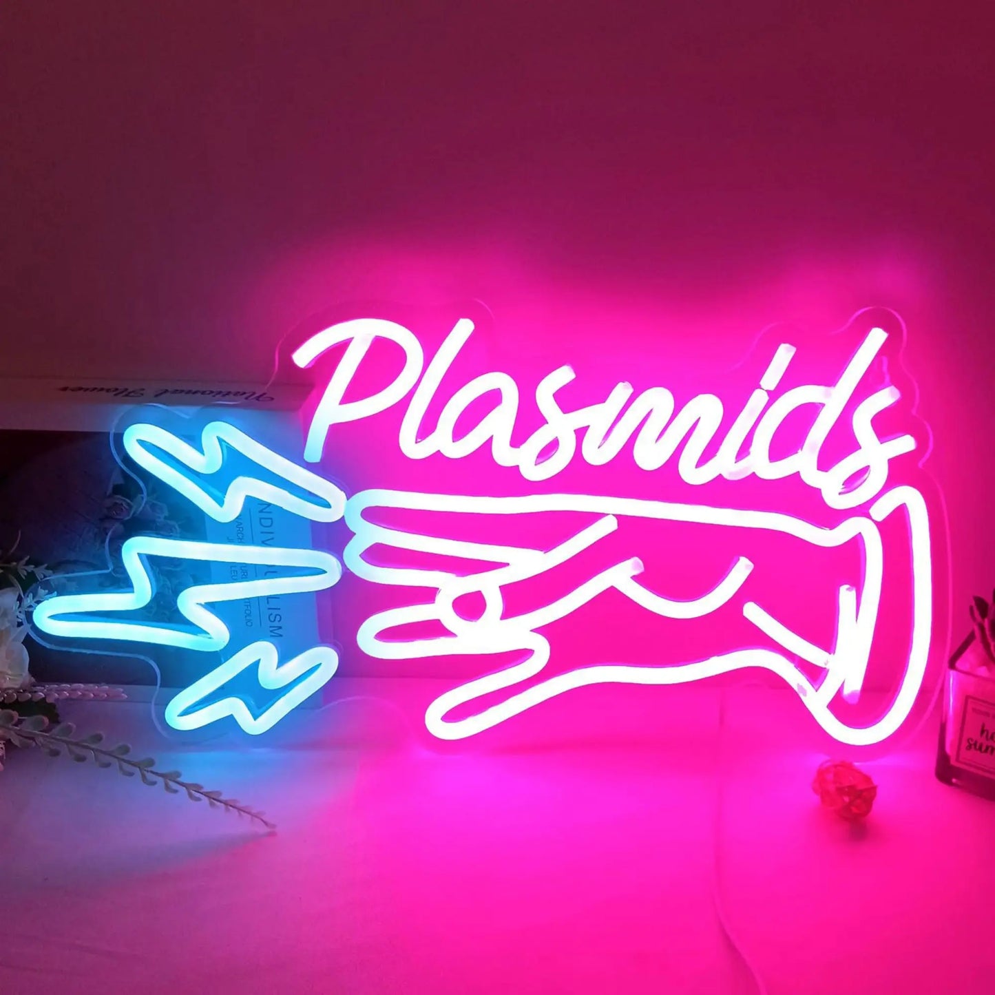 Plasmid LED Neon Sign Anime Bedroom Game Room Internet Cafe Game Room Man Cave Bar Playground Kids Girls Room Wall Sign Decor