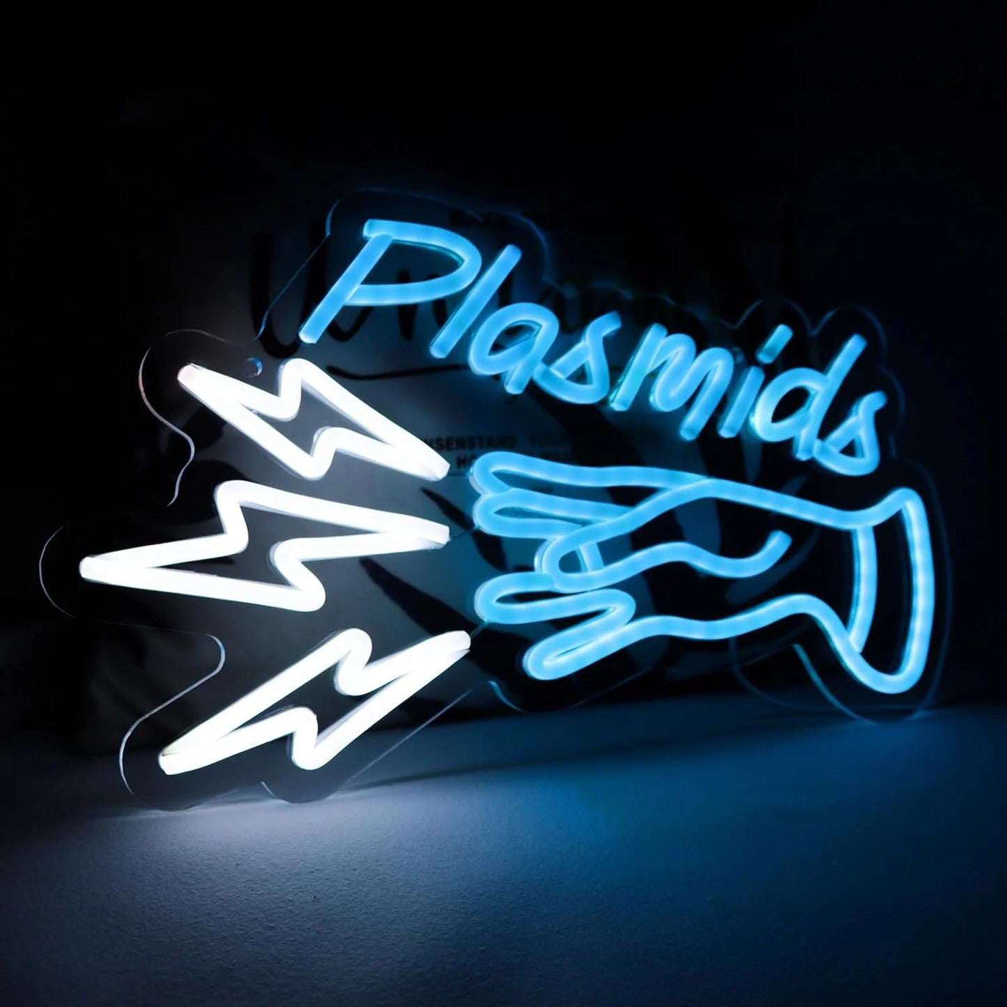 Plasmid LED Neon Sign Anime Bedroom Game Room Internet Cafe Game Room Man Cave Bar Playground Kids Girls Room Wall Sign Decor