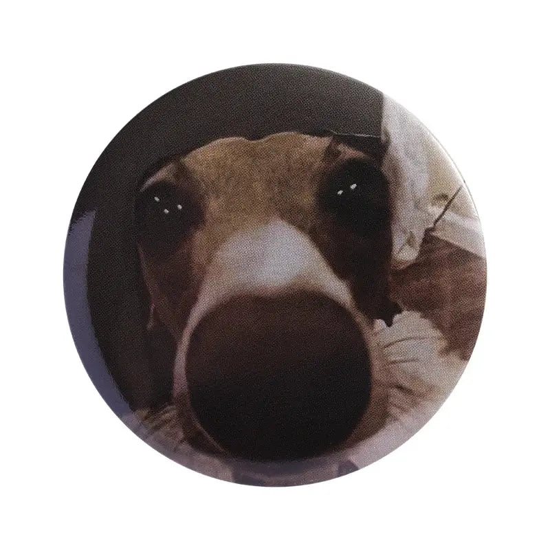 Circular anime pin brooch with a close-up photo of a brown and white dog featuring durable tinplate and pin backing