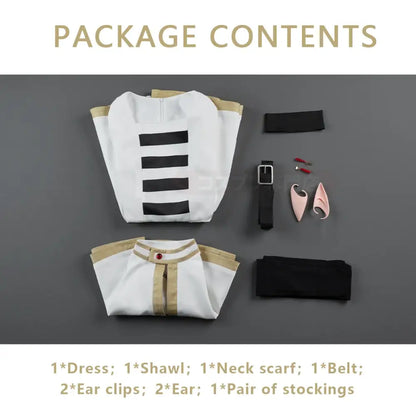 Back view of white and gold Frieren costume set with black stripes paired with grey ponytail cosplay wig