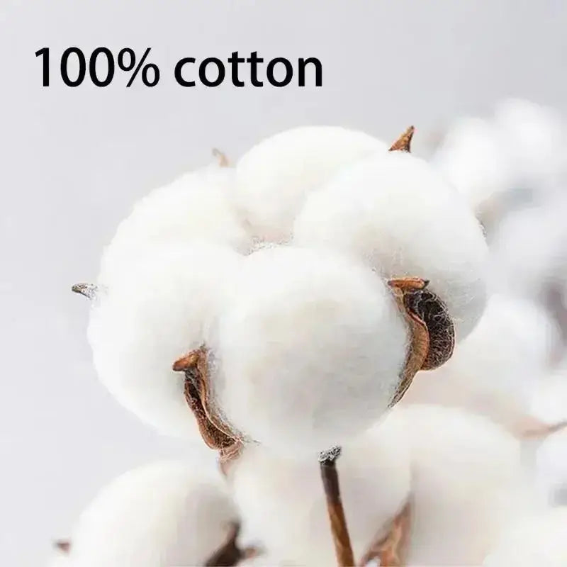 Plush white cotton bolls with brown stems highlighting soft material of solo leveling sung jin-woo loose fit oversized t-shirt